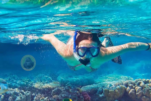 5 Days Great Holiday at Maldives (USD $3538 PER PERSON)