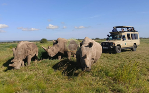 12 Day Aberdare Samburu Lake Nakuru Bogoria Amboseli Lake Naivasha Parks Safari (USD $3338 PER PERSON)