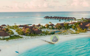 10-Day  Kenya Masai Mara Wildlife Zanzibar Beach Safaris (USD $2628 PER PERSON)