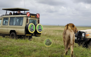 10-Day Kenya Masai Mara Amboseli Park Zanzibar Beach Safaris (USD $2826 PER PERSON)