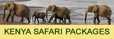 Kenya safari packages