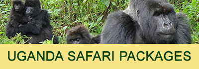 Uganda safari packages